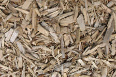 biomass boilers Caroy